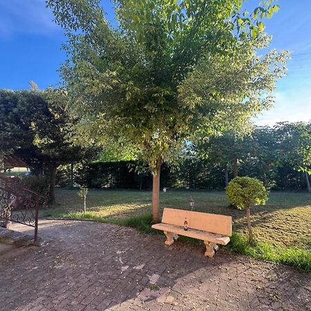 Apartament Antonia House Rosignano Marittimo Zewnętrze zdjęcie