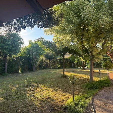 Apartament Antonia House Rosignano Marittimo Zewnętrze zdjęcie