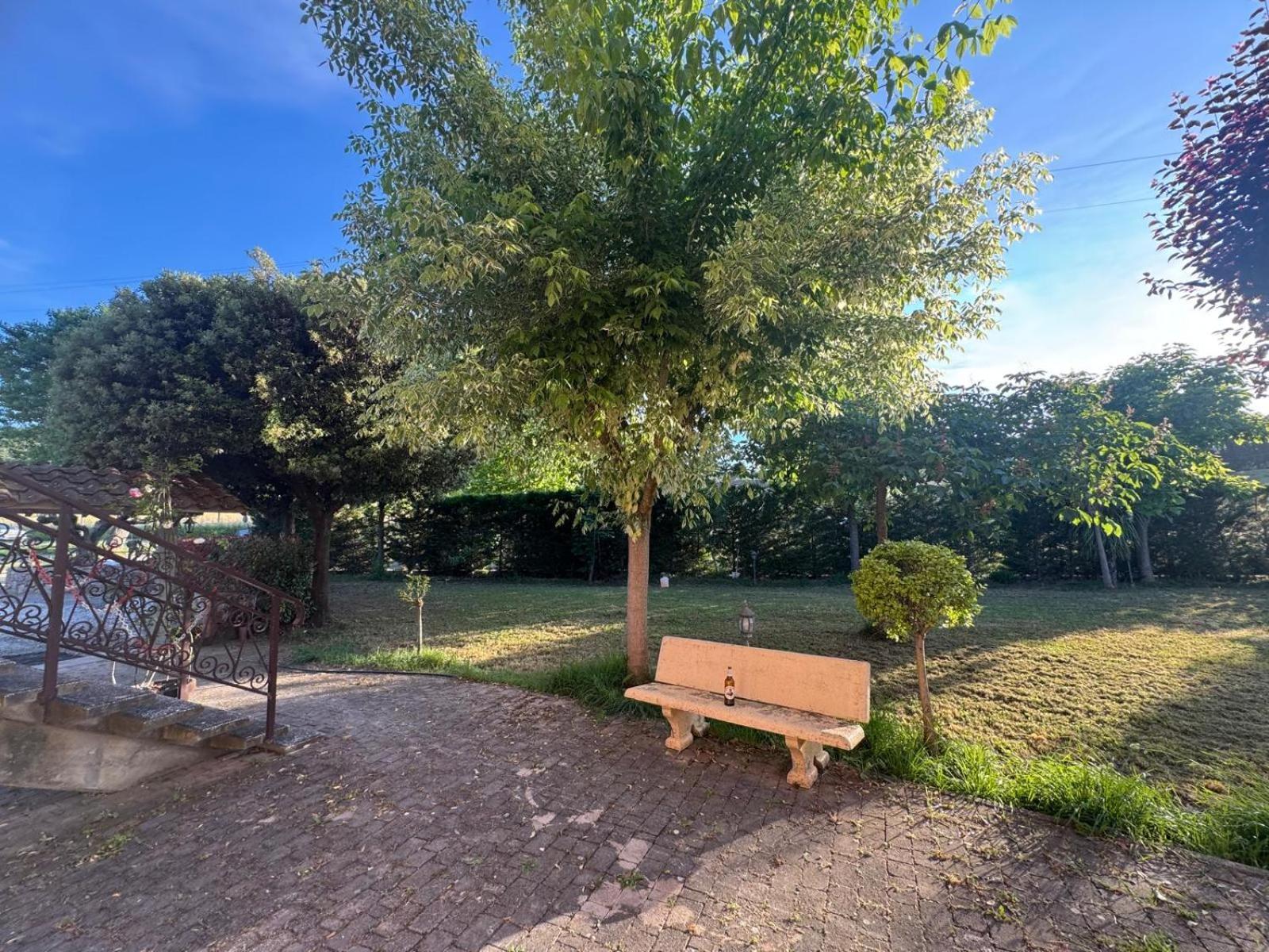 Apartament Antonia House Rosignano Marittimo Zewnętrze zdjęcie